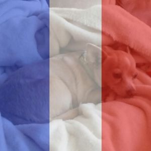 Meet your Posher, Carla